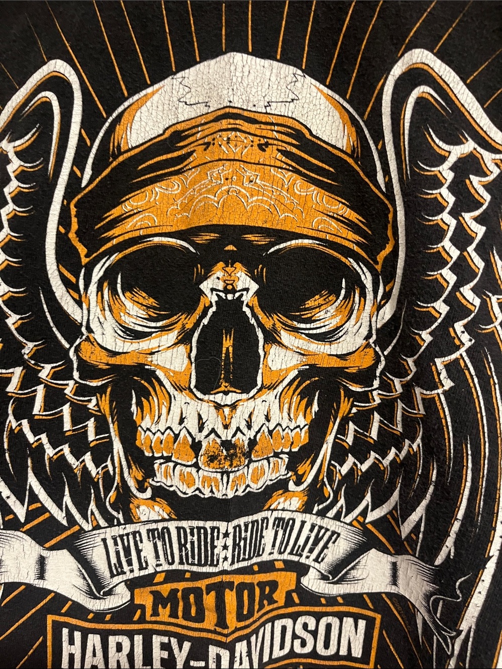 Harley-Davidson Black Tee with Orange & White Skull Wings Graphic - Picture 3 of 9